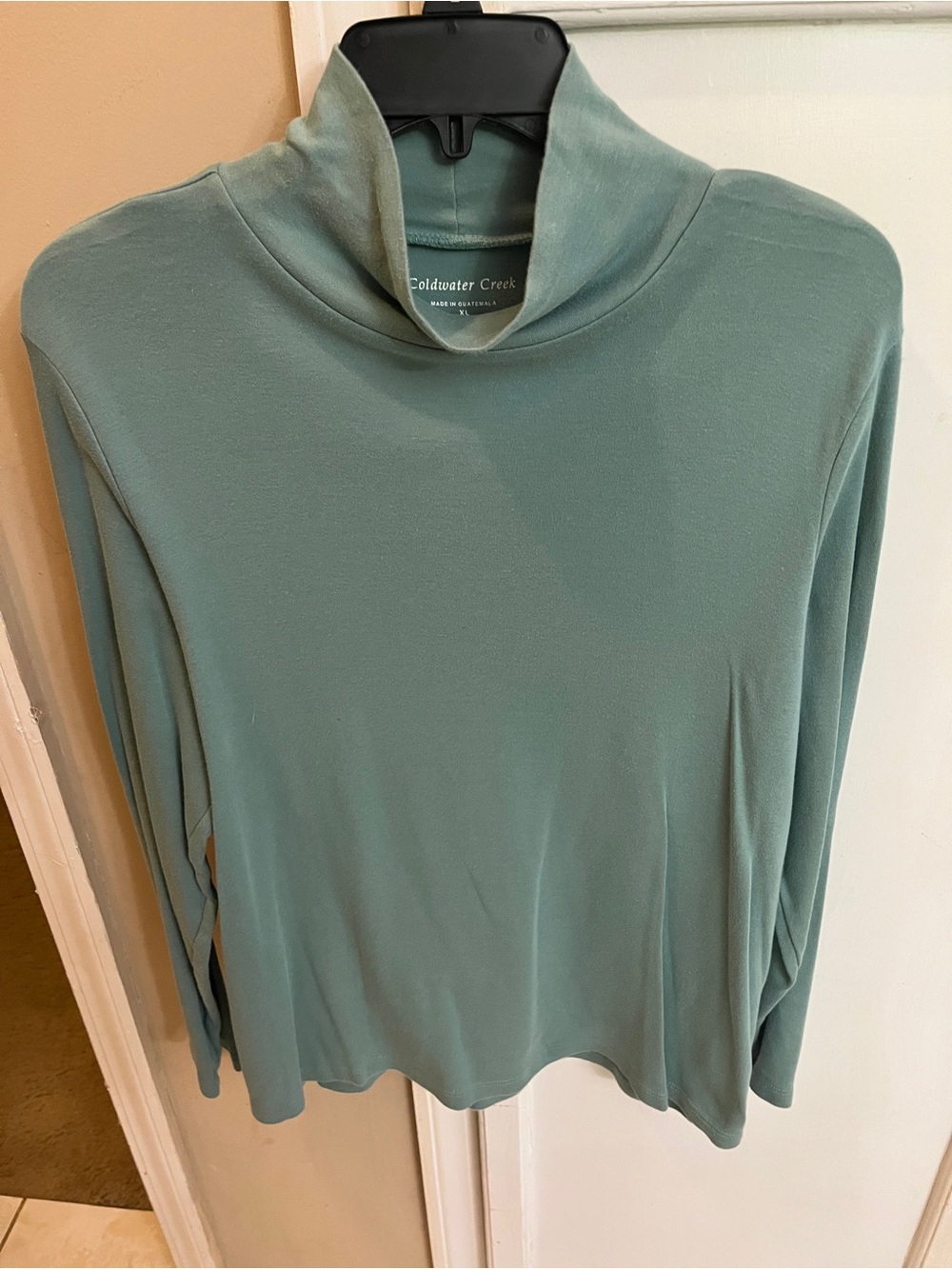 Coldwater Creek Long-Sleeve Turtleneck in Sea Green xl